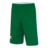vert/blanc